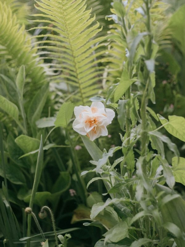 pexels-clement-couturier-546640561-29173988 pexels-clement-couturier-546640561-29173988